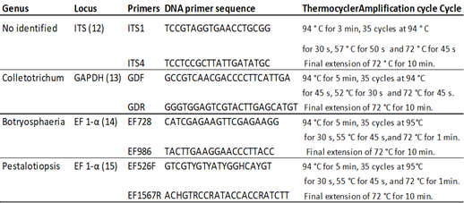 Primers and cycles used for fungal DNA amplification