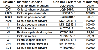 Identified species with sequence analysis