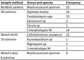 Frequency of identified fungi from bark and wood
