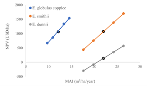 Sensitivity analysis: changes
in yield (MAI +/-10%, +/-20%) in the three alternatives