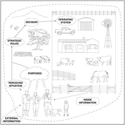 Conceptual outline used to construct the strategic operating model of a case study of a family livestock producer