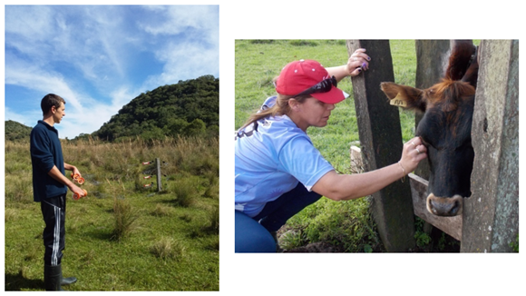 Livestock farmers carrying out
different production management practices