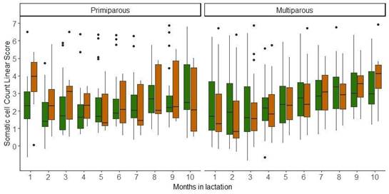 Descriptive statistics for the evolution of somatic cell count linear score
of two Holstein-Friesian strains (North American = green, New Zealand = brown)
by parity (primiparous and multiparous) and months in lactation