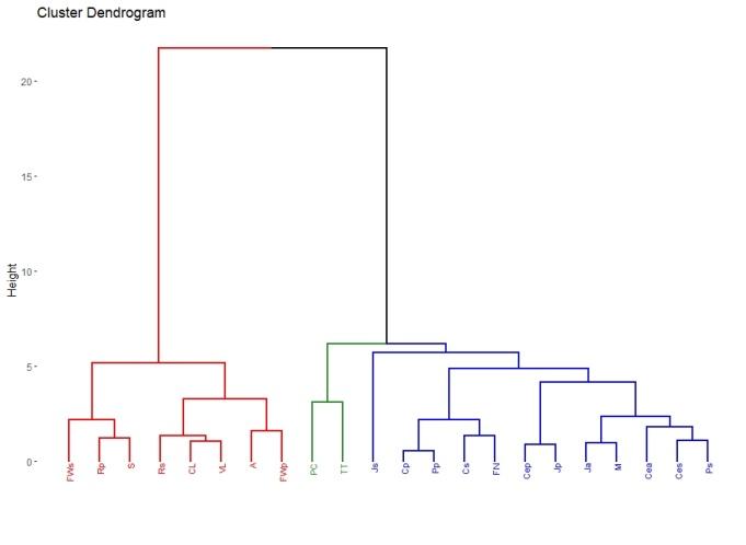 Similarity dendrogram of all propolis obtained