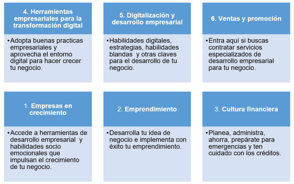 Grandes rubros de capacitación de la Secretaría de
Economía
