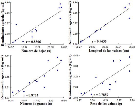Gráfico de correlación (r) entre las variables morfoproductivas de
la variedad de habichuela Lina (Vigna
unguiculata) sometida aplicación de oligogalacturónidos.
