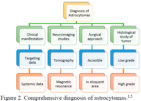 Comprehensive diagnosis of astrocytomas