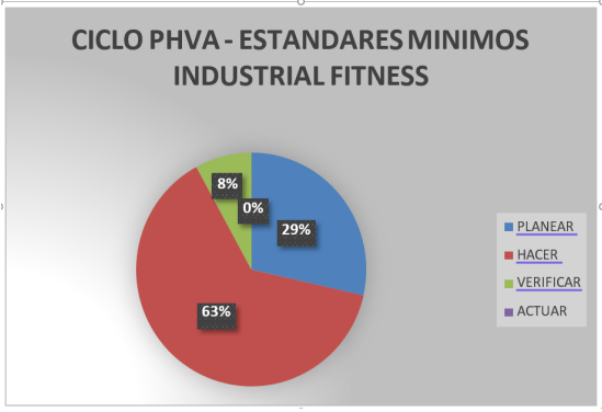 Ciclo PHVA – Estándares mínimos Industrial
Fitness