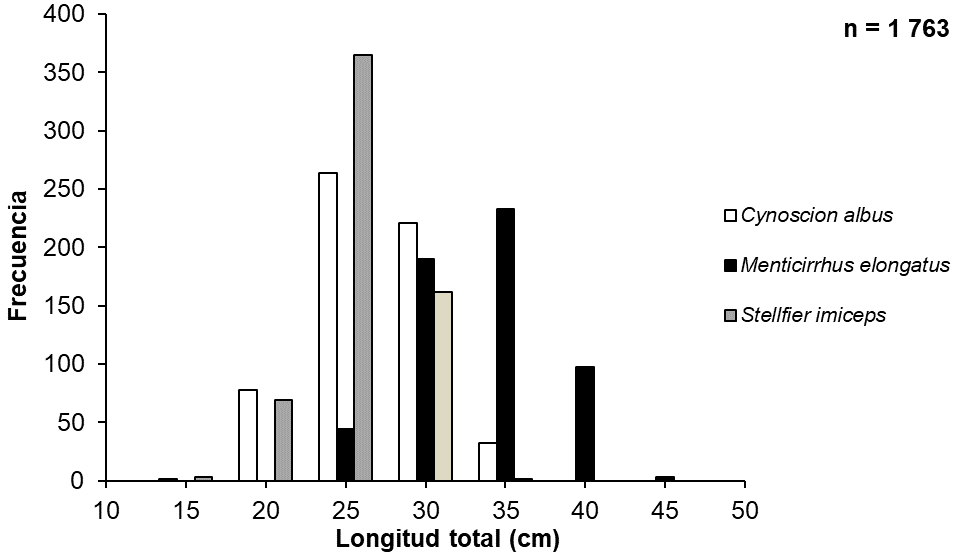 Size frequencies of Cynoscion albus Menticirrhus elongatus and Stellifer imiceps caught in Ecuadorian waters