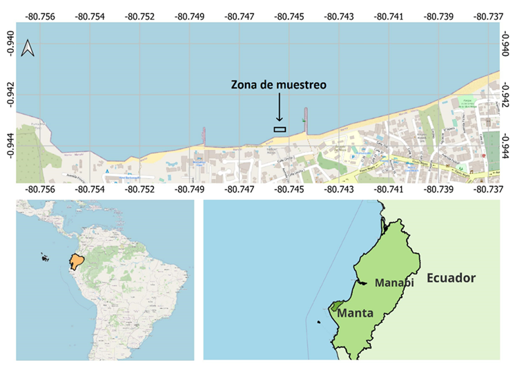 Location of sampling site, between two breakwaters of
Barbasquillo beach.
