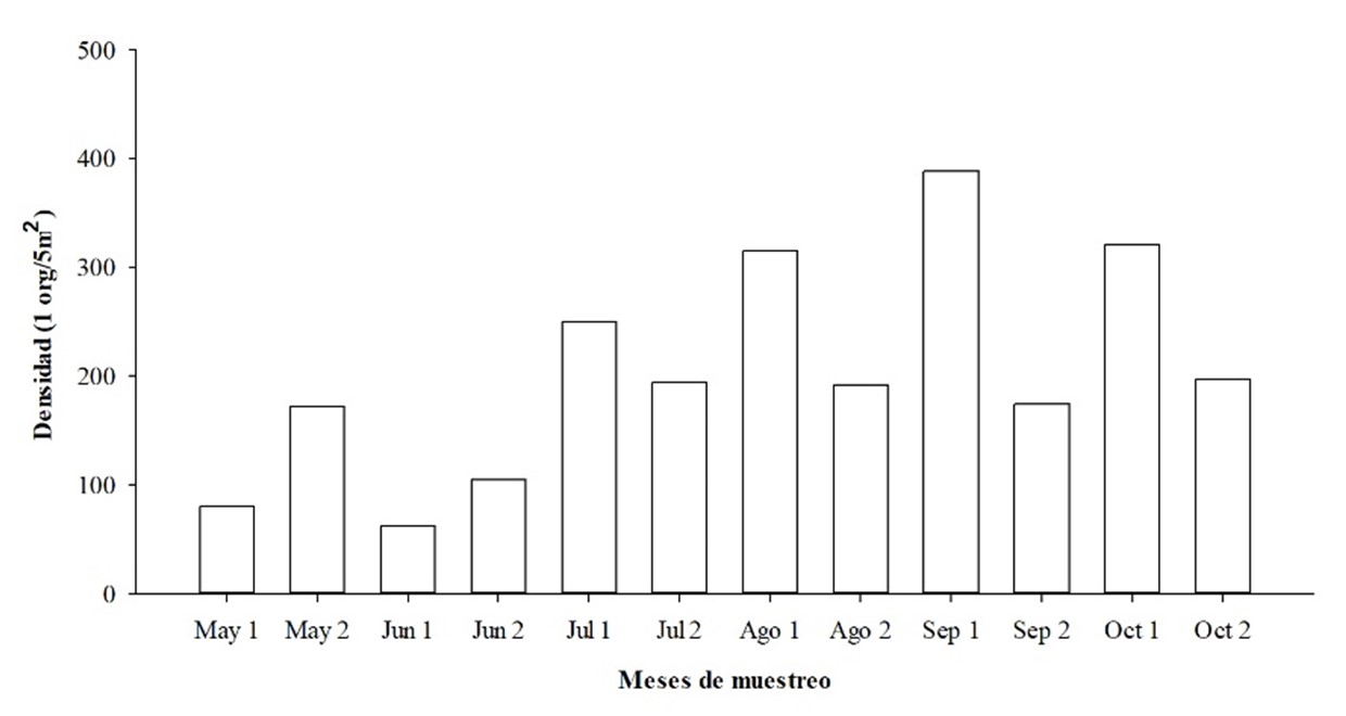 Variation of
zoobenthos density in Barbasquillo during the sampling months.