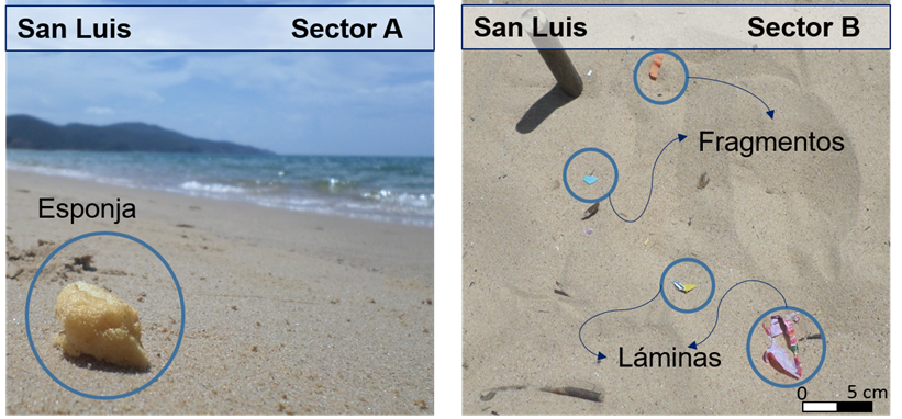 Evidencia de presencia de plásticos en los sedimentos superficiales de las dos localidades de la Playa San Luis Cumaná estado Sucre Venezuela 