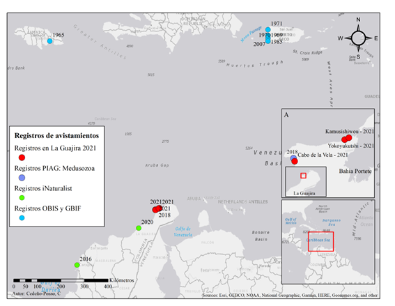 Distribución de los reportes de avistamientos de la medusa P. punctata en el Mar Caribe