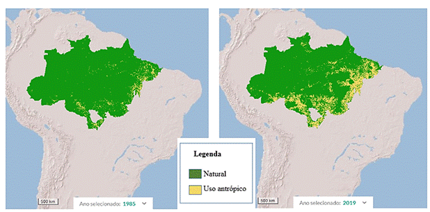 SciELO - Brasil - A origem do homem americano vista a partir da América do  Sul: uma ou duas migrações? A origem do homem americano vista a partir da  América do Sul