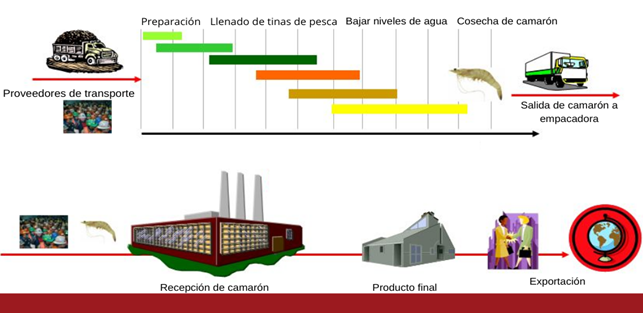 Proceso de salida de
producto.