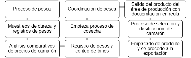 Detalle
obtención de producto final