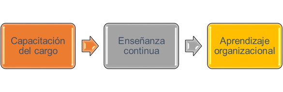Dimensiones de la Formación