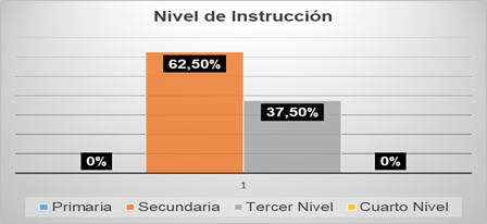 Nivel de Instrucción