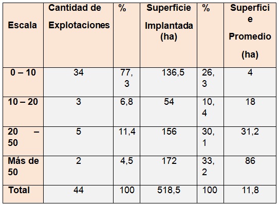 Cantidad  de explotaciones, superficie implantada con kiwi y superficie promedio por  escala de extensi&oacute;n en los partidos del Sudeste Bonaerense