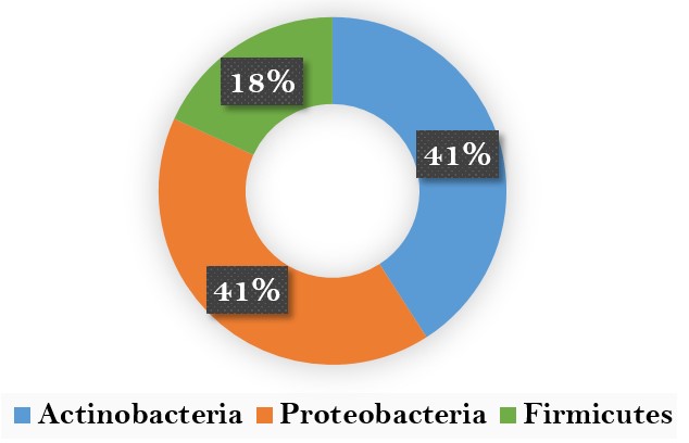 Filos de bacterias halófilas frecuentemente
estudiadas como productoras de metabolitos secundarios.