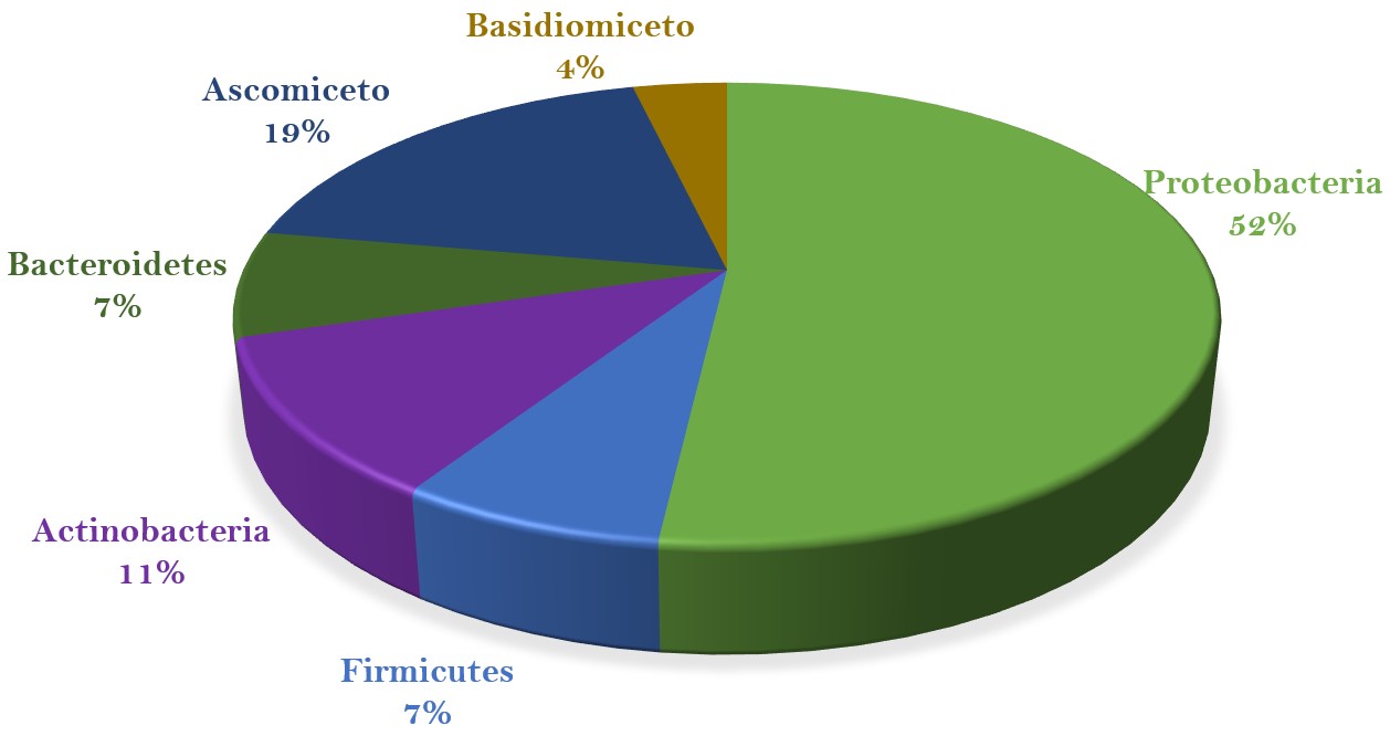 Filos de organismos psicrófilos mayoritariamente
estudiados.