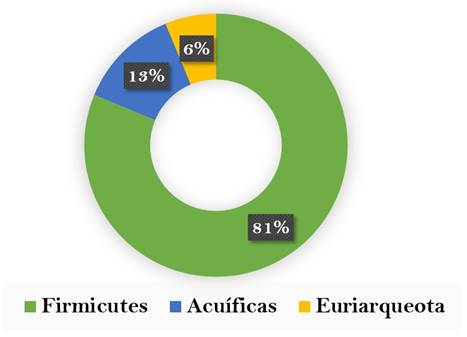 Filos de bacterias termófilas mayoritariamente
estudiados.