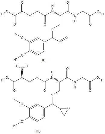 Compuestos derivados del catabolismo de la estructura 2.