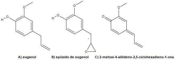 
Candida albicans 