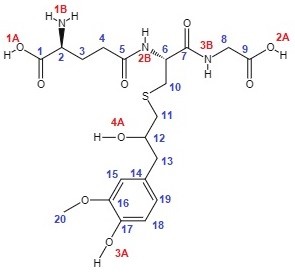Estructura química del aducto producto de la unión covalente entre el epóxido
de eugenol y glutatión (estructura C).