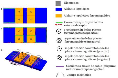  El transistor de espín consiste en cuatro dominios
de FTI de los cuales dos son intercambiables. 