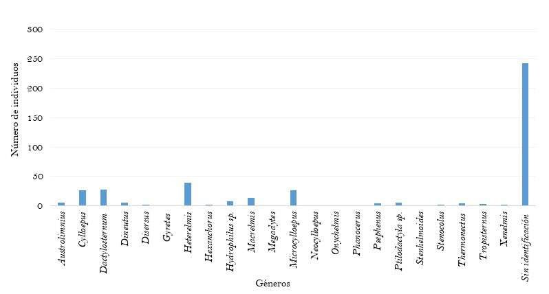 Número de individuos por género de la colección de coleópteros acuáticos
depositados en el MEFLG.