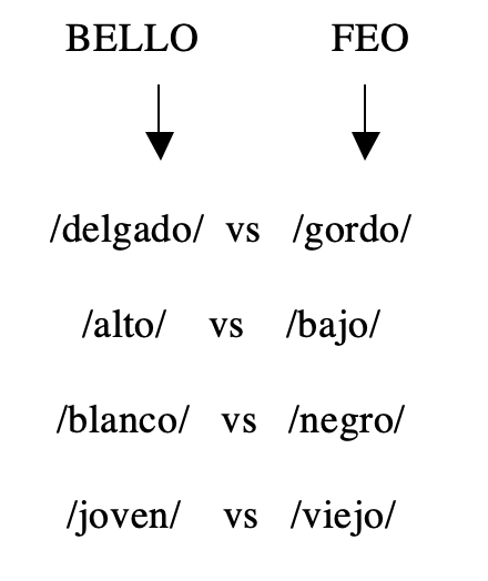 Modelo transnacional de
belleza