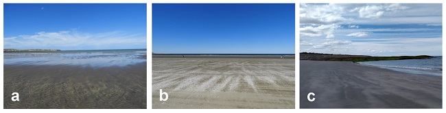 Sitios de muestreo: a) Restinga Alí; b) Playa Alsina; c)
Playa Gravina