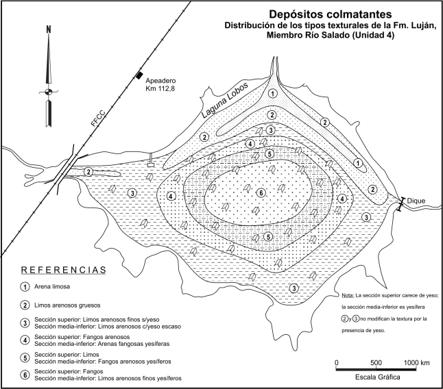 Depósitos colmatantes.
Distribución esquemática de los tipos texturales de la Unidad 4: Fm. Luján,
Miembro Río Salado.