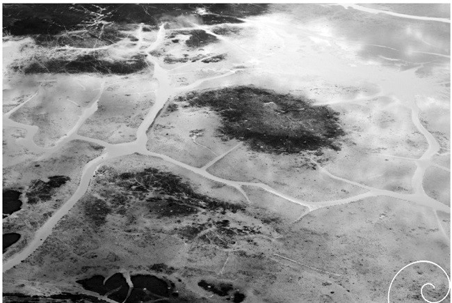 Vista aérea do sítio arqueológico Teso dos Bichos, Ilha
do Marajó, Pará, localizado na parte central da foto (Wagner Souza e Silva).