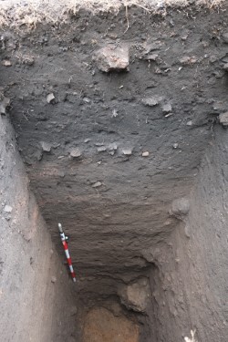 Perfil
com camadas de terra preta com base datada em cerca de 1.200 anos
BCE, sítio Teotônio, rio Madeira, sudoeste da Amazônia (Eduardo G. Neves).
