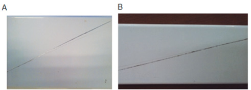 Fig. 3. Imagen obtenida de una probeta ensayada en la cámara de niebla salina neutra.
			
