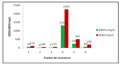 Figura 1. Comportamiento de la DBO5 y la DQO en los diferentes puntos.