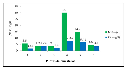 Figura 2. Comportamiento del nitrógeno total y fósforo total en los diferentes puntos.