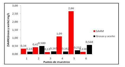 Figura 3. Comportamiento del SAAM, grasas y aceites en los diferentes puntos.