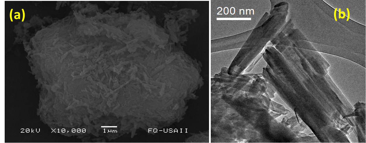 a) Imágenes SEM de
nanotubos de halloysita b) Imágenes TEM de nanotubos de halloysita