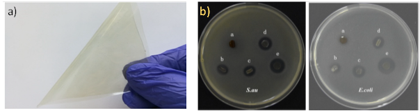 Membrana comestible a base de Quitosano- almidón de bellota y eugenol: a)
Membrana comestible, y b) efecto antifúngico (S. aureus y E.coli) (Zheng et al., 2019)