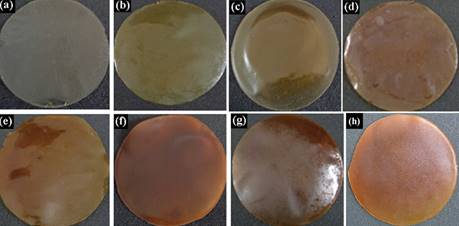 Pictograma de las membranas comestibles trifásicas a base de quitosano-goma
guar- otros compuestos: a) sin aceite esencial, b) eugenol (0,5 %), c)
carvacrol (0,75 %), d) citral (1,0 %), e) eugenol (0,5 %)- carvacrol (0,75 %),
f) carvacrol (0,75 %)-citral (1,0 %), g) eugenol (0,5 %)-citral (1,0 %) y
h) eugenol (0,5 %)-carvacrol (0,75 %)- citral (1,0 %) (Dhumal et al., 2019)