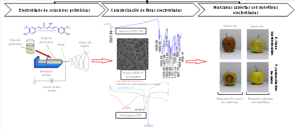 Elaboración de nanofibras a base de zeína cargada con curcumina, obtenida
por método de electrohilado. Efecto antomicrobiano en la conservación de
manzana (Yilmaz et al., 2016)