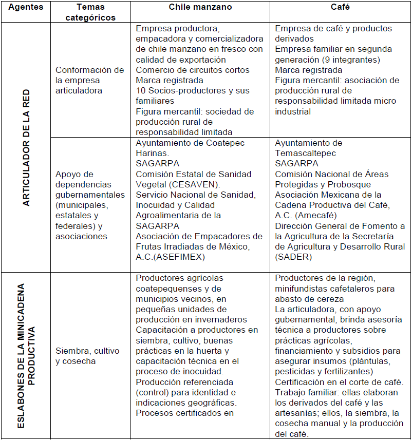 Sinopsis
comparativa de los agentes de la estructura de las minicadenas de producción
