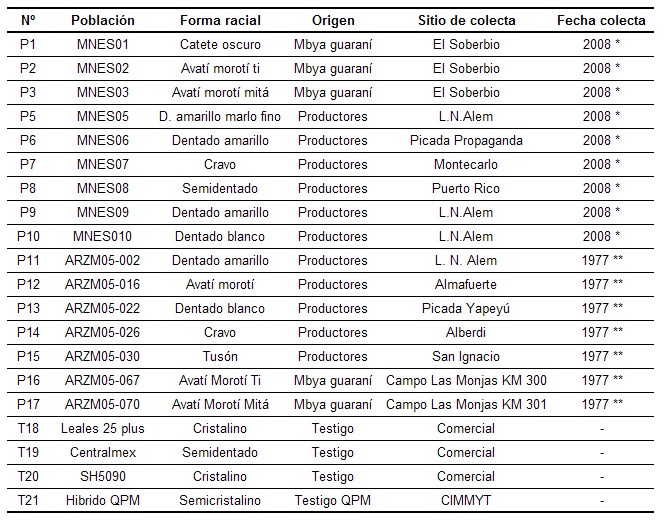 Poblaciones nativas de maíz de la provincia de Misiones.