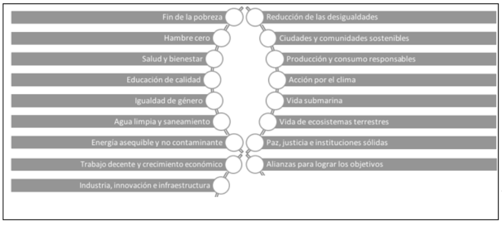 Los ODS
establecidos por las Naciones Unidas son los siguientes: