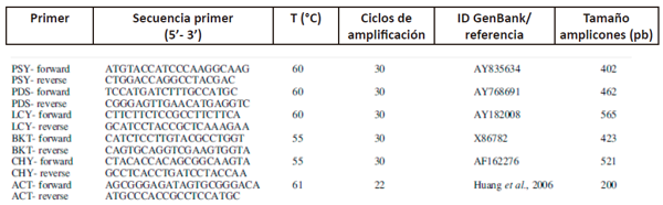 Genes específicos y temperaturas usadas en RT-PCR
