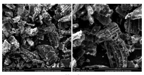 Imágenes sem de un material adsorbente obtenido a partir de la cascarilla de arroz