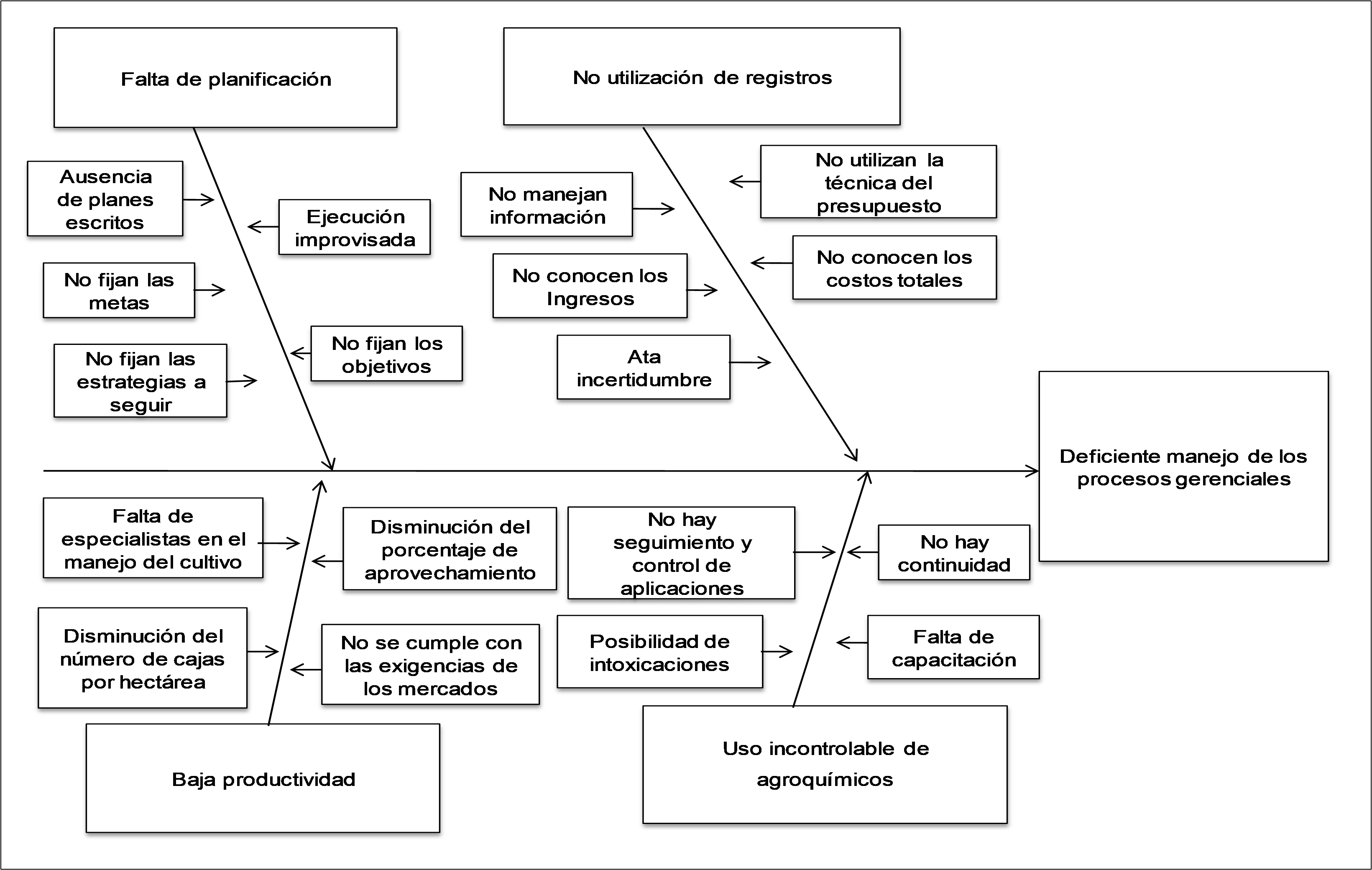 Figure 1. Cause
and effect diagram to detect bottlenecks in banana production units in Milagro
(Guayas Province), Ecuador